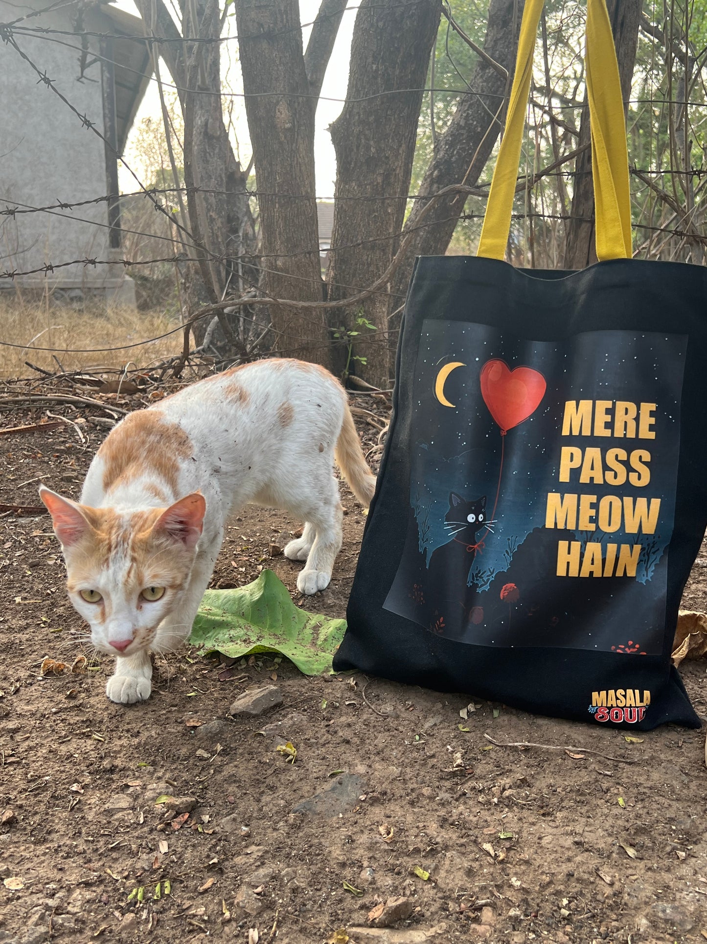 Totebag - Mere Paas Meow Hain